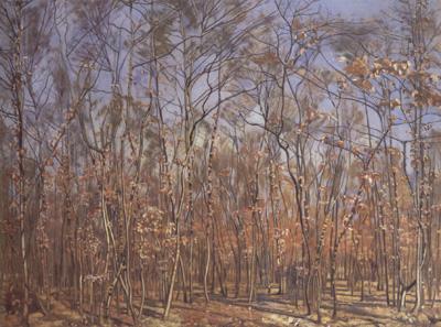 The Beech Forest (nn02), Ferdinand Hodler